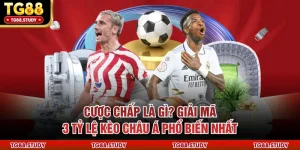 Cược Chấp Là Gì? Giải Mã 3 Tỷ Lệ Kèo Châu Á Phổ Biến Nhất