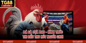 Đá Gà Cựa Dao - Hình Thức Thi Đấu Thu Hút Người Chơi