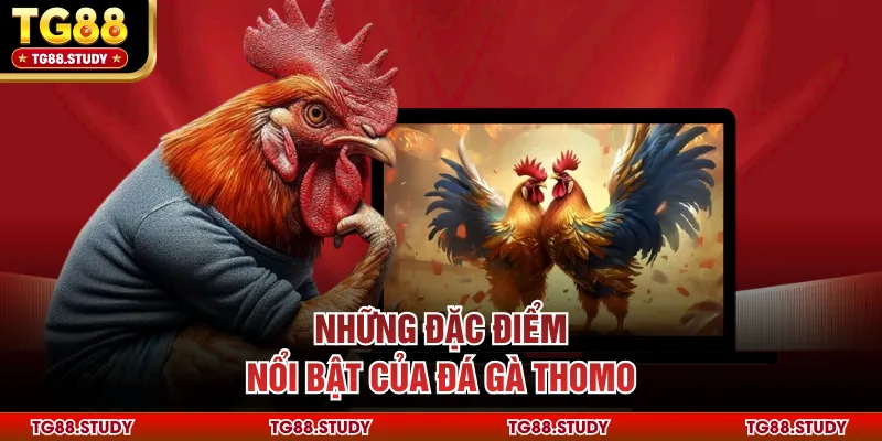 Những đặc điểm nổi bật của đá gà Thomo