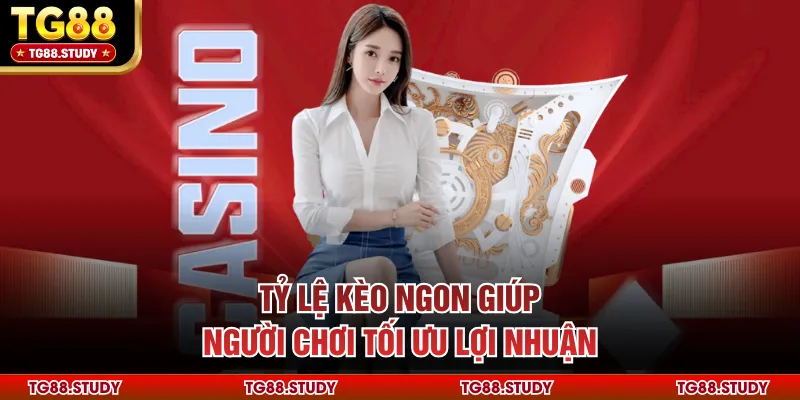 Tỷ lệ kèo ngon giúp người chơi tối ưu lợi nhuận